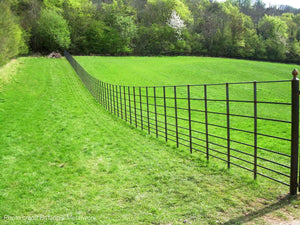 Finished estate fencing in a field with woodland surrounding