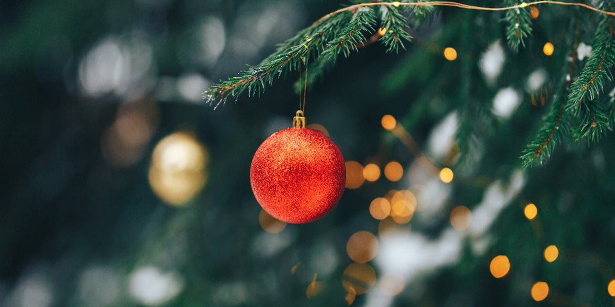 See You In 2025 Our Christmas Closing Dates Easy Petrol Post Driver see-you-in-2025-our-christmas-closing-dates-easy-petrol-post-driver