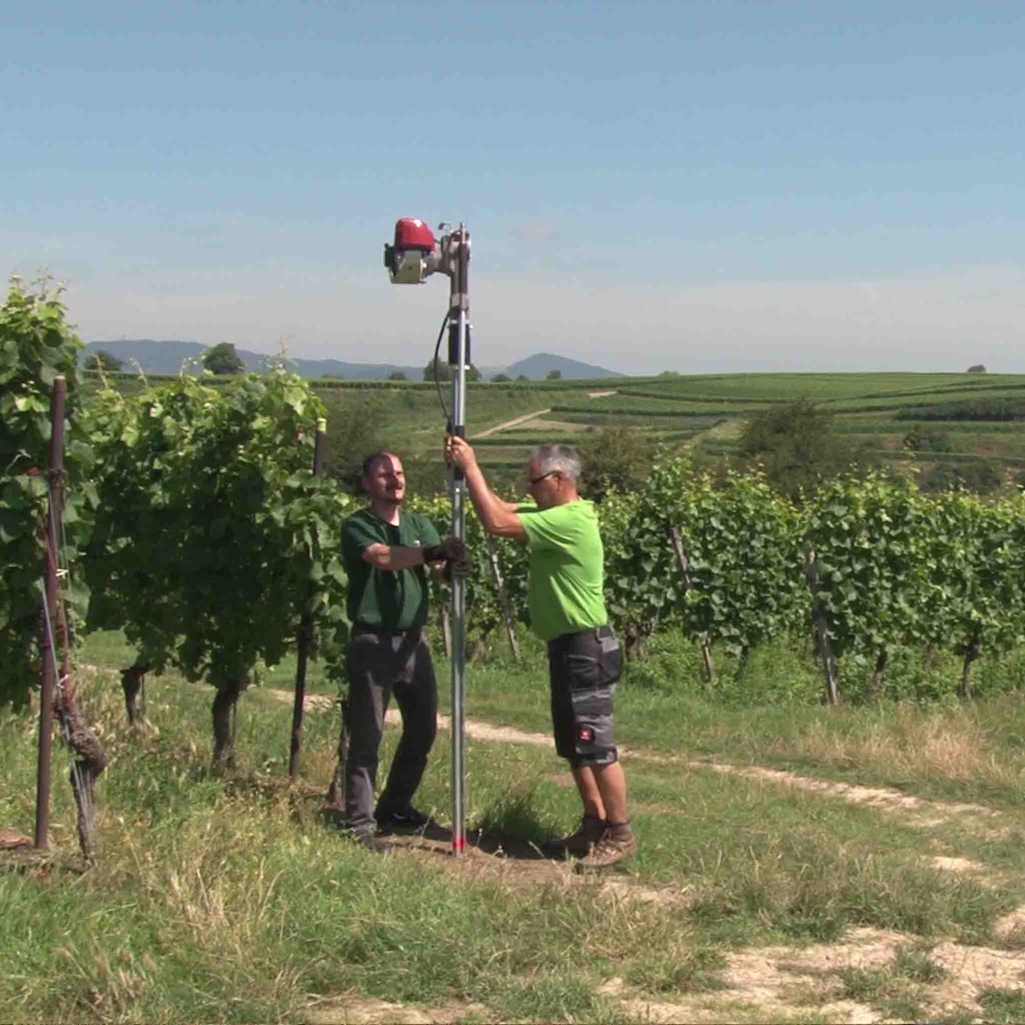 Installing vineyard posts