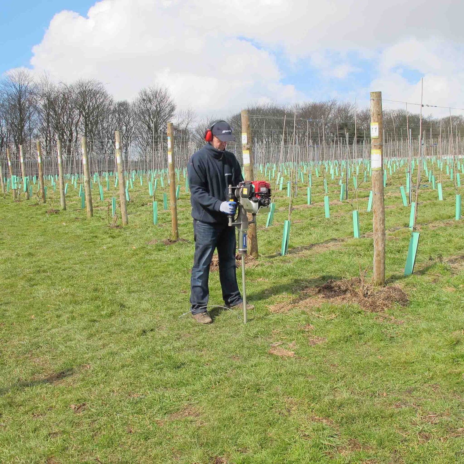 Installing vineyard trellising posts