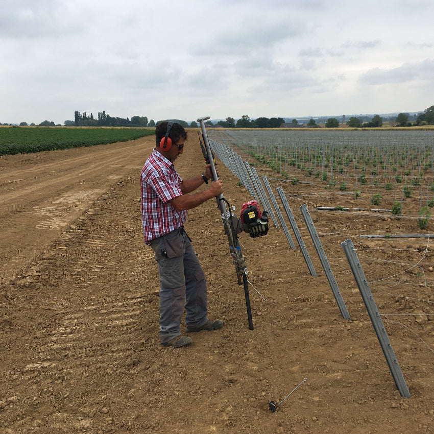Vineyard installation using metal posts and ground anchors
