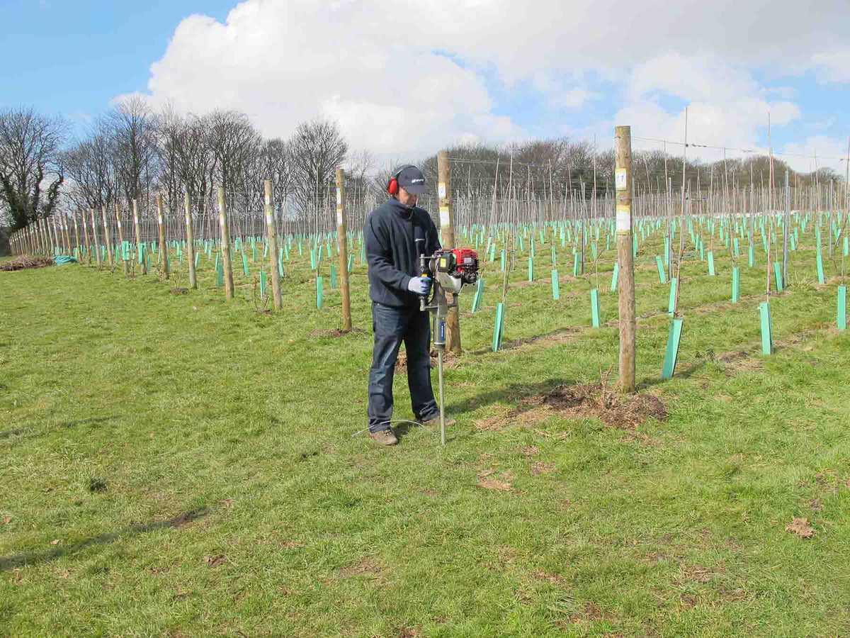 Ground anchor being installed in a vineyard