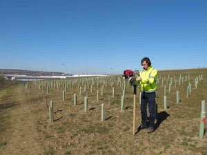 Post Driver being used in a forestry setting, for 2" timber tree stakes