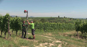 Long Handles fitted to Post Driver in action in a vineyard with tall posts.